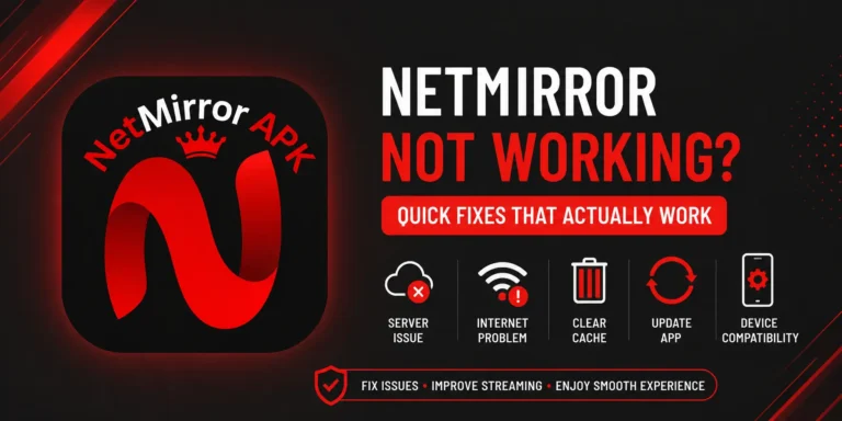 NetMirror Not Working NetMirror-is-Not-Working